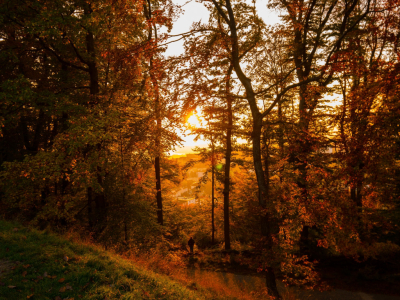 Les petits scientifiques vont adorer l’automne : 3 choses à observer !
